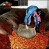 珈琲豆で水質浄化（新聞記事）