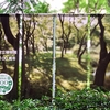 【2024・京の涼さがし】京都で清々しい夏を感じるならここ！京都府立植物園