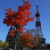 春が来たような陽気だが、訳ねえかぁ～❔