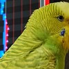 ７月１０日の相場を見てみたよ　チュン