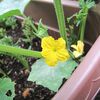 【隠居の朝の一言　金に縛られるな　09/15】