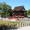 御朱印巡り①　愛知県岡崎市　『伊賀八幡宮』