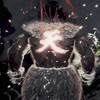 MonsterHunterWILDS　～⑲ワイルズに瞬獄殺登場～