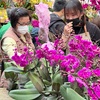 春節モード高まる花屋街