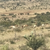 サン・ミゲル・デ・アジェンデ　San Miguel de Allende