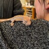 【日記】初めてしっかりハンドリング【ペット】