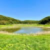 沼尾の池（茨城県鹿嶋）