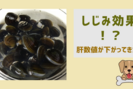 数値が下がった！肝臓の悪い犬にしじみを使った食事を与えた結果。