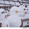 【pxta】「雪だるま」「氷ランプ」の写真が審査通過。