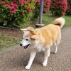 クリンへの想いは尽きなくて・・・137