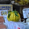 「つげ義春」面白味ない温泉地写真＆エッセイがいい
