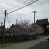 四天王寺わつか市