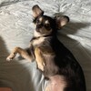 まろにー2213日目