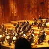 London Symphony Orchestra(LSO)