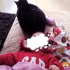 ［黒猫と赤ちゃん］寒い日の温まり方@５か月