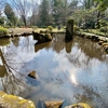 芹ヶ谷公園の大池（東京都町田）