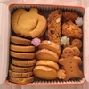 【お取り寄せ可】カボチャのクッキー缶【東京/三軒茶屋】