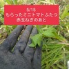 20250515はたけ…野菜が心地よいように