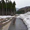 湯沢の桜