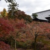 【京都】東福寺で紅葉の写真を撮影してみた。