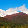 長野県白馬村では三段紅葉が見頃、白馬大橋から見る雪の北アルプス