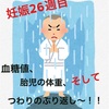 妊娠26週目の胎児と爆上がりの血糖値、そしてつわりのぶり返し‼️