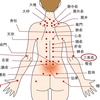 肌の荒れ・皮膚の異常