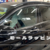 欧州車に絶対おススメ！　モールラッピング♪