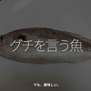 1713食目「グチを言う魚」でも、美味しい。