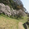 花見・鳥見散歩♪