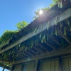 来年へ