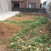 シカリの農業入門
