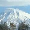 明日の予想気温は2度！  60km走前日の準備！