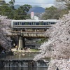 桜の時Ⅰ