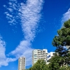 綱渡り