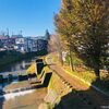 小千谷市内の街角には錦鯉がいっぱい！シャッターアート、錦鯉モチーフ、花火など