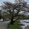 4月15日（火）動坂方面ジョグ　上野は紅華のみか、ピザハットが貧弱になった