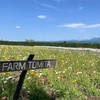 富良野美瑛観光へ　その2