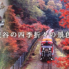 【京都】嵯峨野トロッコ列車の乗車券予約購入方法を紹介！