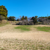 沼津の山城　追加調査