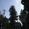 線香の生産地今市を散歩。追分地蔵へ。