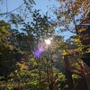 行きたい神社をリクエストしたら…