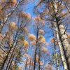 2017.11.05 晩秋の編笠山＆権現岳