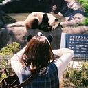 Namiの動物園blog