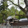 日牟礼八幡宮の春その１