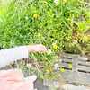 【楽天の子どもグッズ＊夏編】お名前シールを違う物に変えました！プールバッグはリピートです