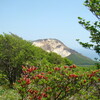 山躑躅・恵山