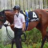 １６日に栗東・小林厩舎へ入厩。６回阪神のダ１２００ｍを予定しています。☆イルデレーヴ