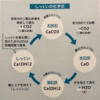 漆喰ってすごい！〜石灰のチカラPart2〜