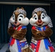 DCL西カリブクルーズ+WDW+DLR70th （5.DCLジョージタウン寄港）